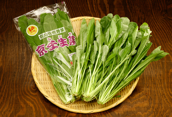 京壬生菜の写真