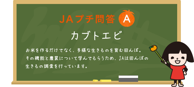 多様な生きものを育む田んぼの役割学ぶ田んぼの生きもの調査 朝日新聞jaプチ問答シリーズ 提供番組 プレゼントの情報を見る Jaグループ