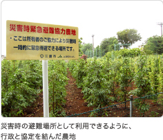 災害時の避難場所として利用できるように、 行政と協定を結んだ農地