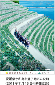 愛媛県宇和島市遊子地区の段畑（2011年7月15日付新聞広告）