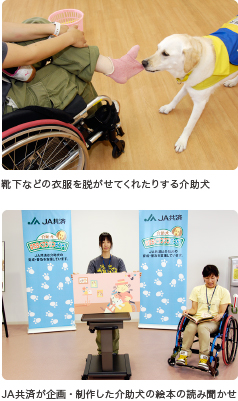 靴下などの衣服を脱がせてくれたりする介助犬|JA共済が企画・制作した介助犬の絵本の読み聞かせ