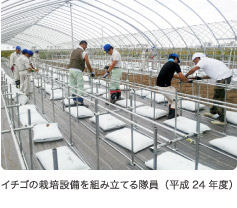 イチゴの栽培設備を組み立てる隊員(平成24年度)