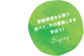 新鮮野菜をお家で食べて、その美味しさを学ぼう!