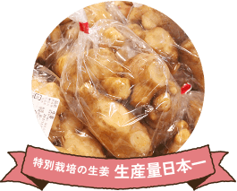 特別栽培の生姜 生産量日本一