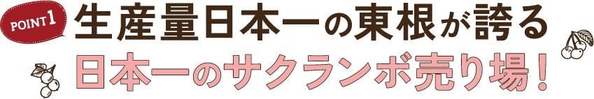 POINT1 生産量日本一の東根が誇る 日本一のサクランボ売り場！