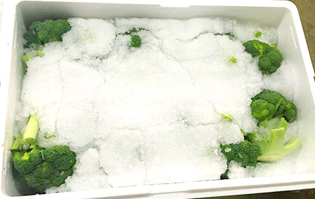 TBSテレビ系列「Nスタニュースワイド」にて、JAしらかわの「ブロッコリーの氷詰め出荷」が紹介されました。