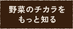 野菜のチカラをもっと知る