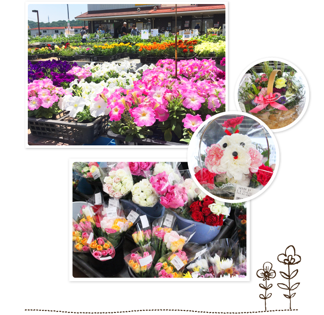 じばさんず 神奈川県 Jaファーマーズマーケット 直売所 お出かけガイド 採れたて野菜のお店を探す Jaグループ