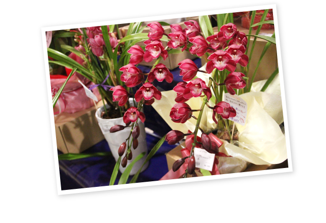 サンサンうきっ子宇彩館 熊本 Jaファーマーズマーケット 直売所 お出かけガイド 採れたて野菜のお店を探す Jaグループ