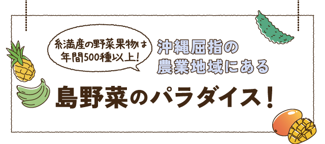 うまんちゅ市場 沖縄 Jaファーマーズマーケット 直売所 お出かけガイド 採れたて野菜のお店を探す Jaグループ