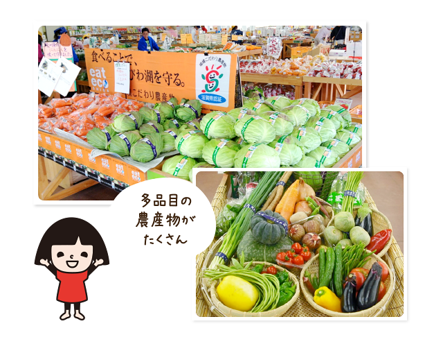 おうみんち本店 滋賀県 Jaファーマーズマーケット 直売所 お出かけガイド 採れたて野菜のお店を探す Jaグループ