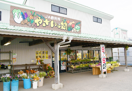 やさいっ娘の写真