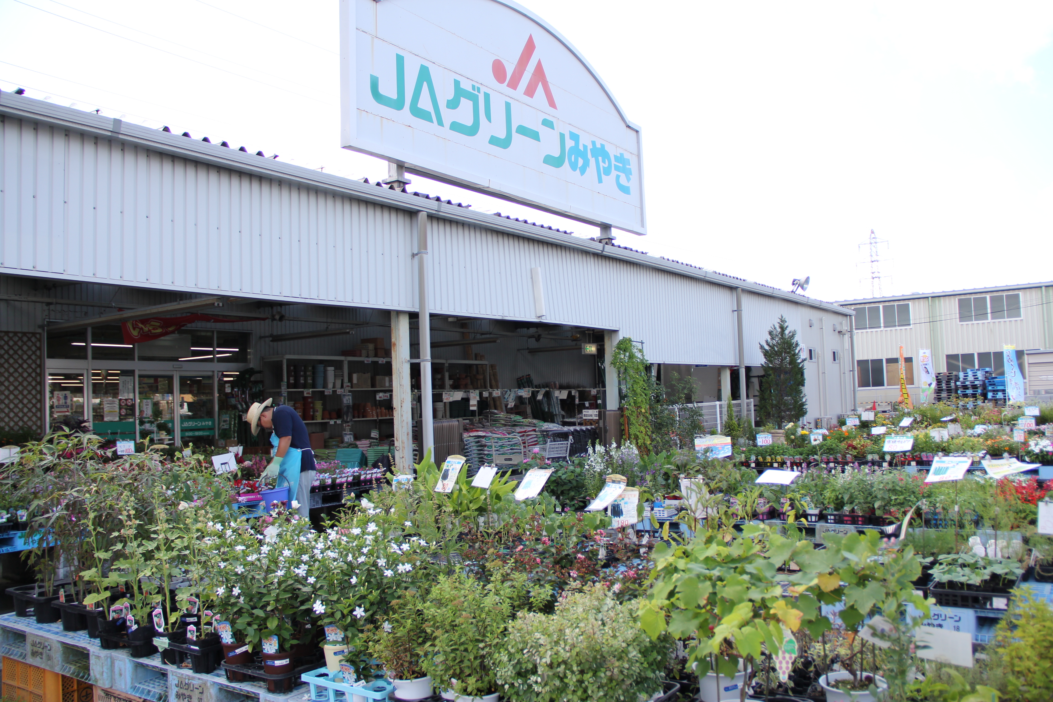 ＪＡグリーンみやき産直「よりみち」の写真
