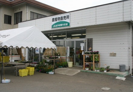 北川辺農産物直売所 埼玉県 の詳細情報 埼玉県の直売所一覧 Jaファーマーズマーケット 直売所 採れたて野菜のお店を探す Jaグループ