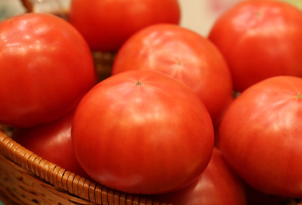 トマトの写真