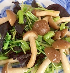 大根の葉・茎、豆苗の炒め物の写真