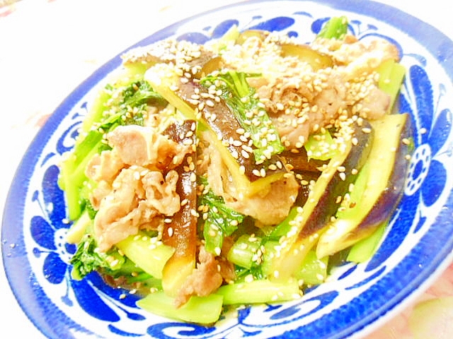 ダシダで作ろ❤茄子と小松菜と牛肉のソテー❤の写真