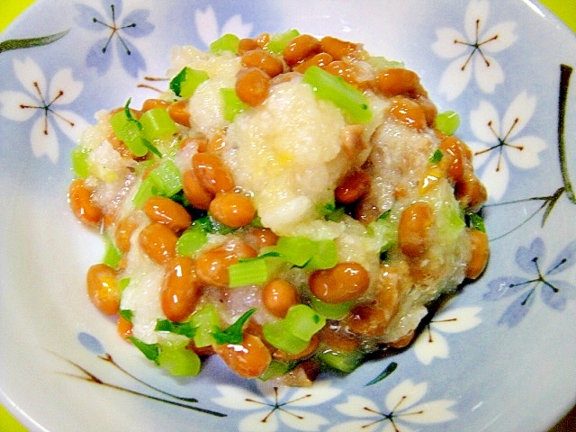 寿司酢でサッパリ☆納豆のおろし和えの写真