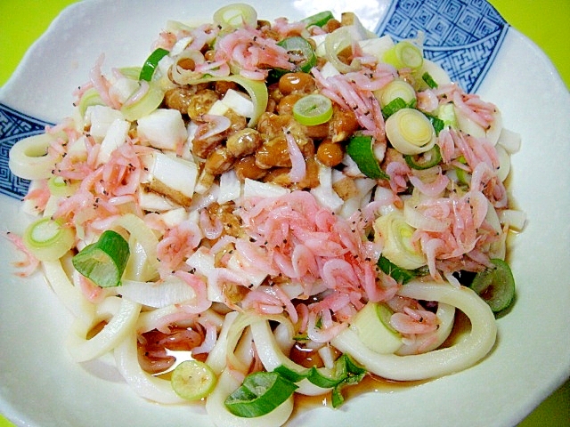 長芋とあみえびのぶっかけ納豆うどんの写真