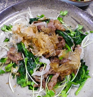 モロヘイヤ玉ねぎ牛肉サラダの写真