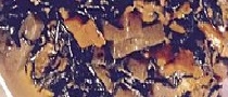 ニンジンとこんにゃくのヒジキの煮物の写真
