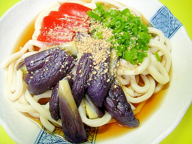 ごま風味☆蒸し茄子とパプリカの冷やしうどんの写真