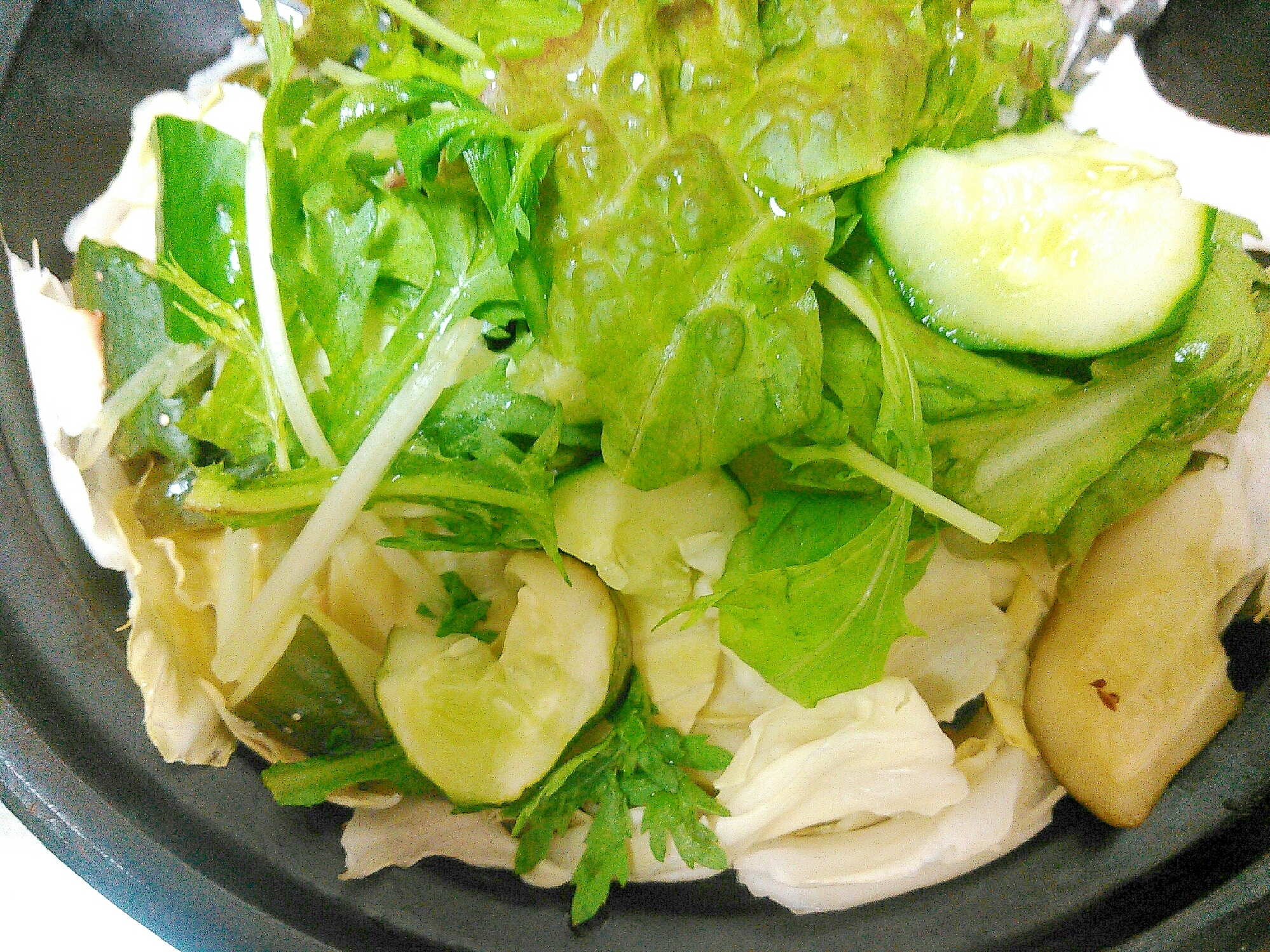 キャベツ キュウリ レタス水菜のグリーンサラダ お手軽レシピで作る Jaグループ