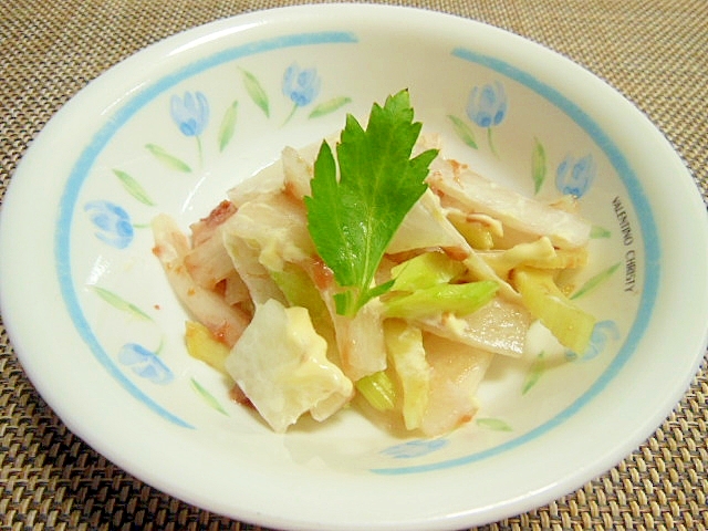 セロリと大根の梅マヨサラダ♪の写真