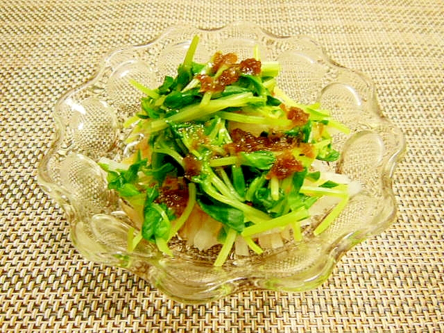 豆苗と大根のおろしドレッシングサラダ♪の写真