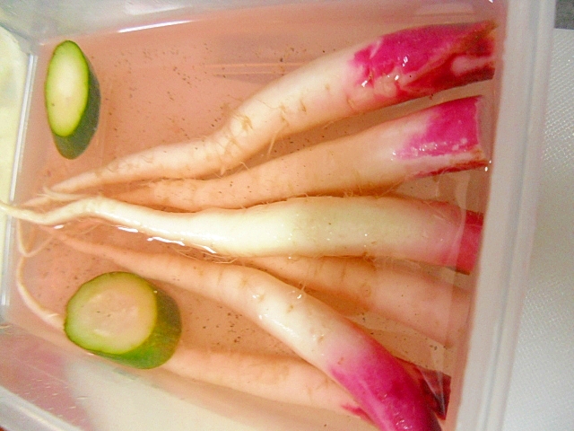赤ちゃん紫大根のピクルス　皮ごと食べようの写真