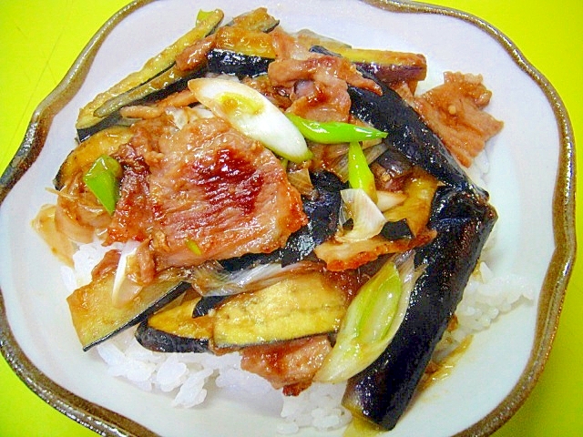 茄子と豚肉の生姜炒め丼の写真