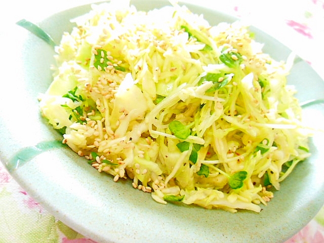うま塩de❤キャベツと貝割れのHOTサラダ❤の写真