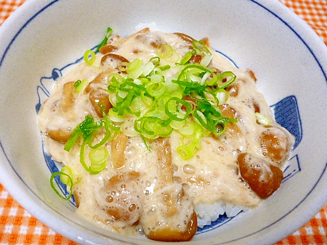 トロトロ丼の写真