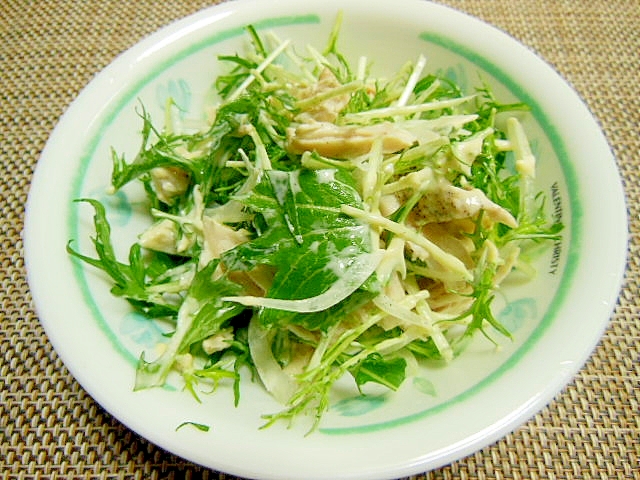 水菜と鶏ハムと玉ねぎのサラダ お手軽レシピで作る Jaグループ