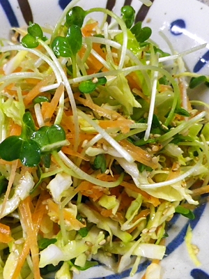 キャベツカイワレにんじんのざっくりゴマサラダの写真