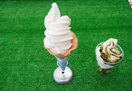 おすすめポイント