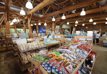 おすすめポイント