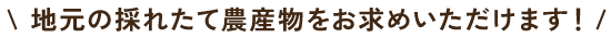 地元の旬の農産物をお求めいただけます!