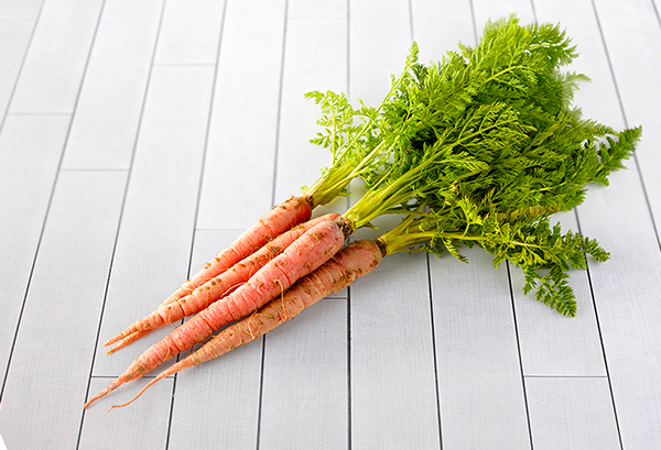 金時人参の写真