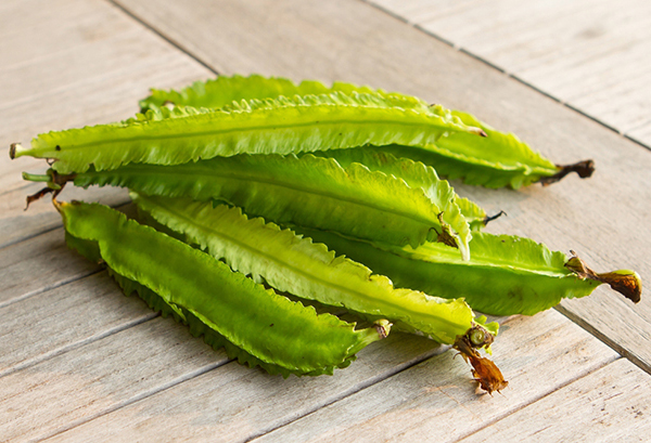 しかくまめ(うりずん豆)の写真