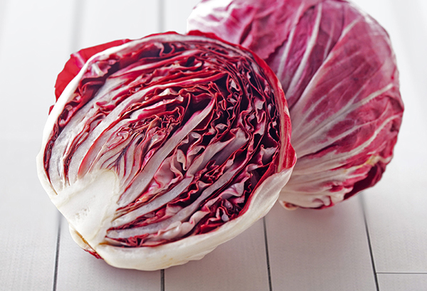 トレビスの写真