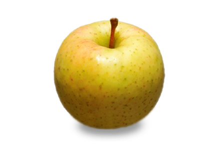 星の金貨の写真