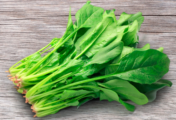 ホウレンソウの写真