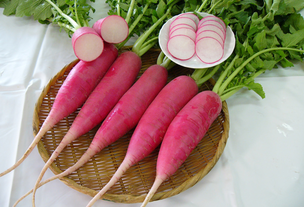 レディーサラダの写真