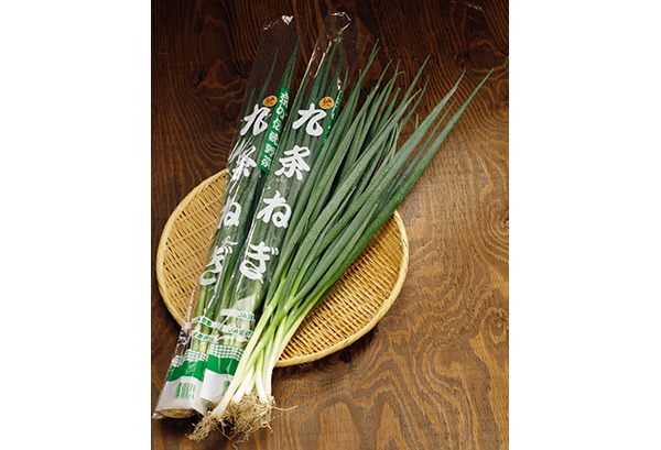 九条ねぎの写真