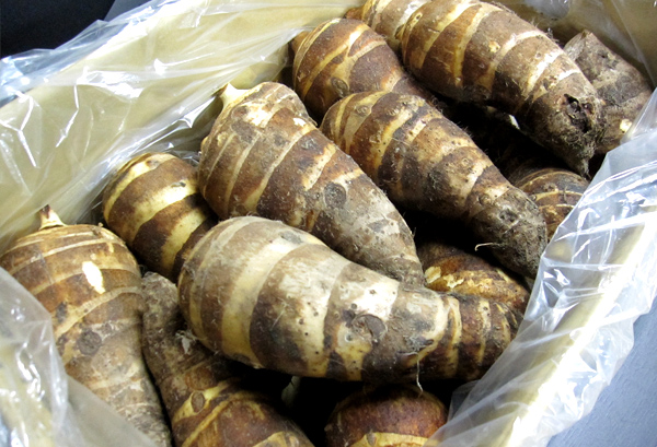 えびいもの写真