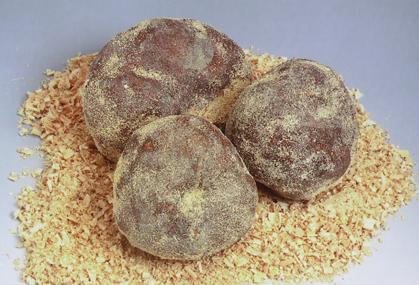 やまのいも(つくねいも)の写真