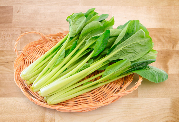 コマツナの写真