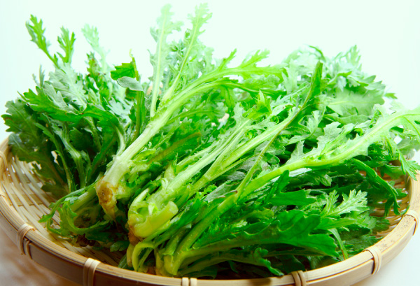 シュンギクの写真