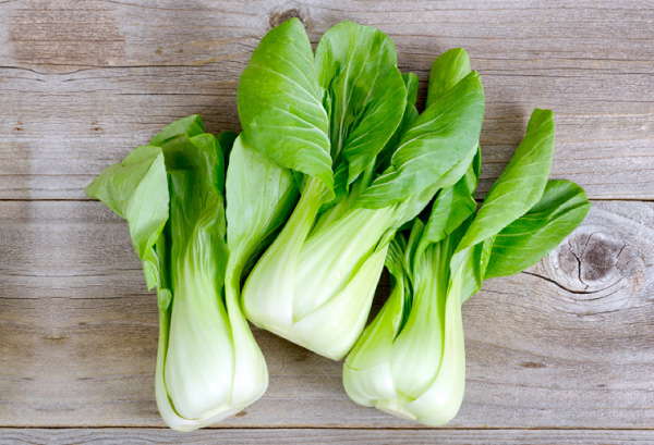 チンゲンサイの写真